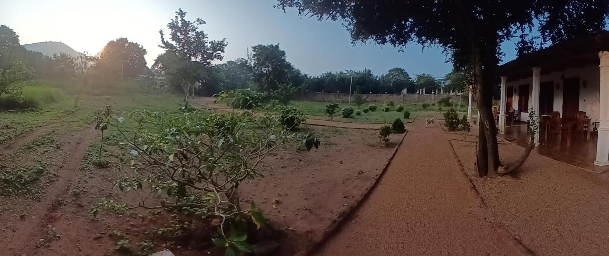 Sigiri Arana Sigiriya Hotell Exteriör bild