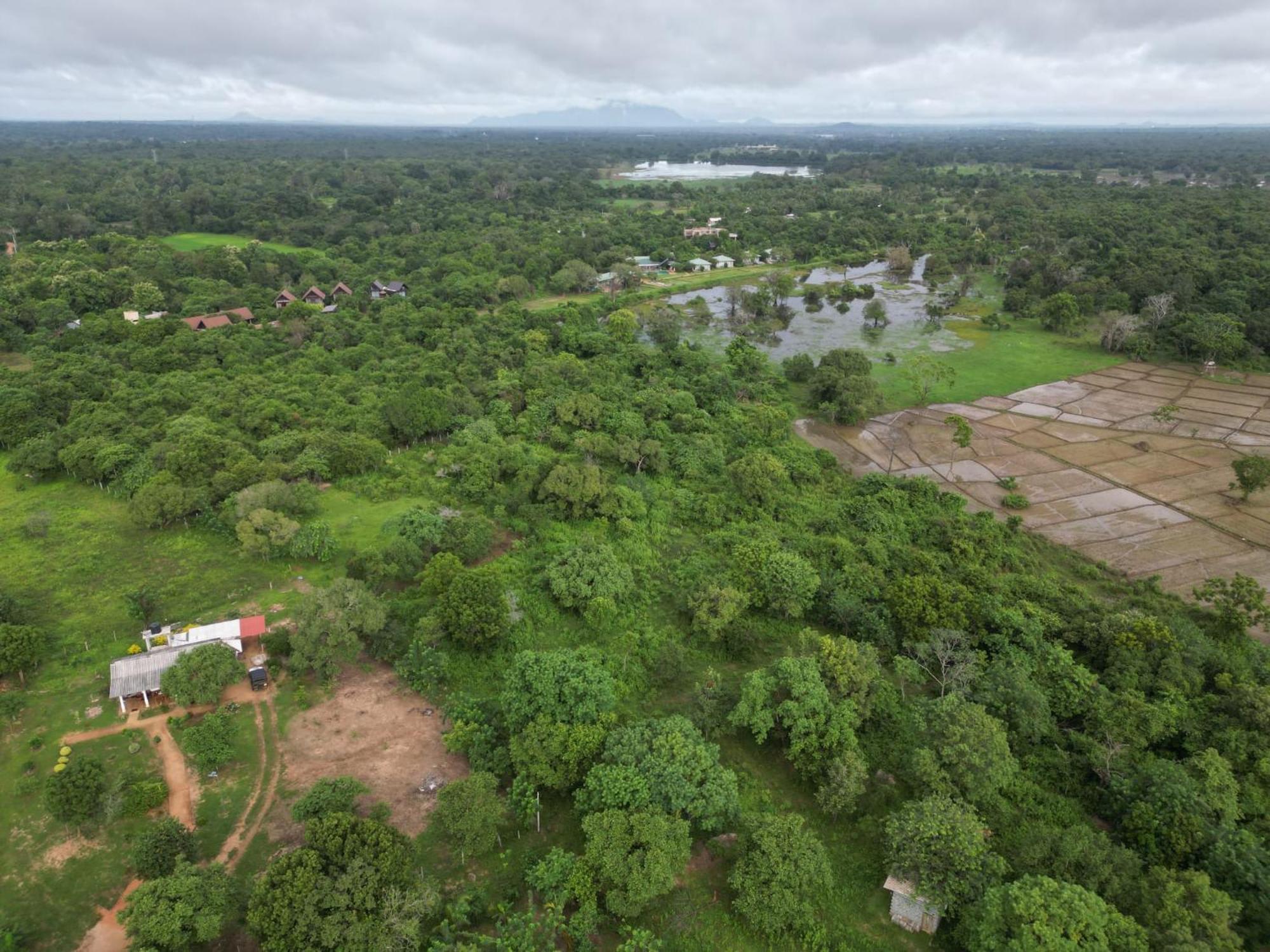 Sigiri Arana Sigiriya Hotell Exteriör bild