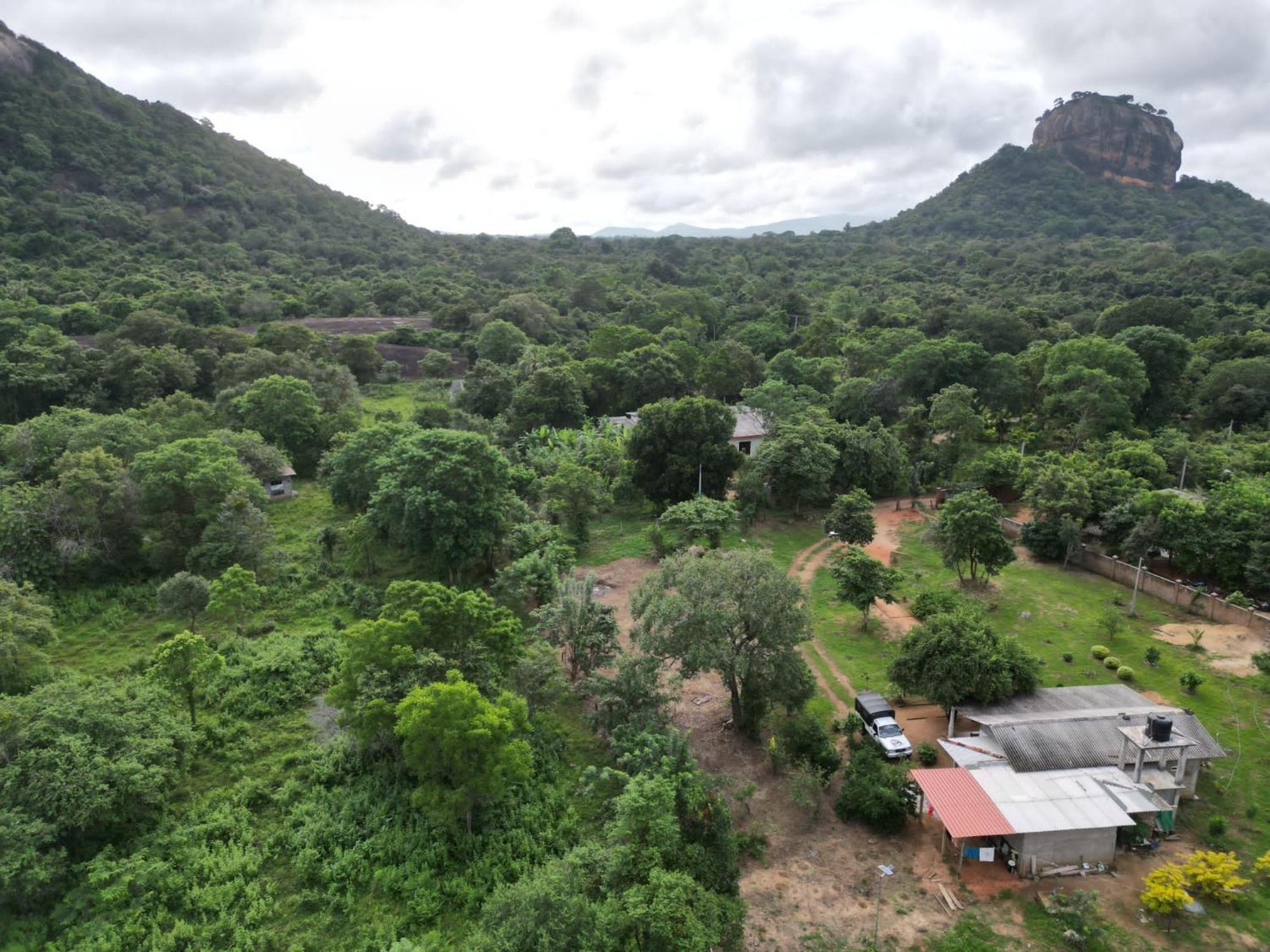 Sigiri Arana Sigiriya Hotell Exteriör bild