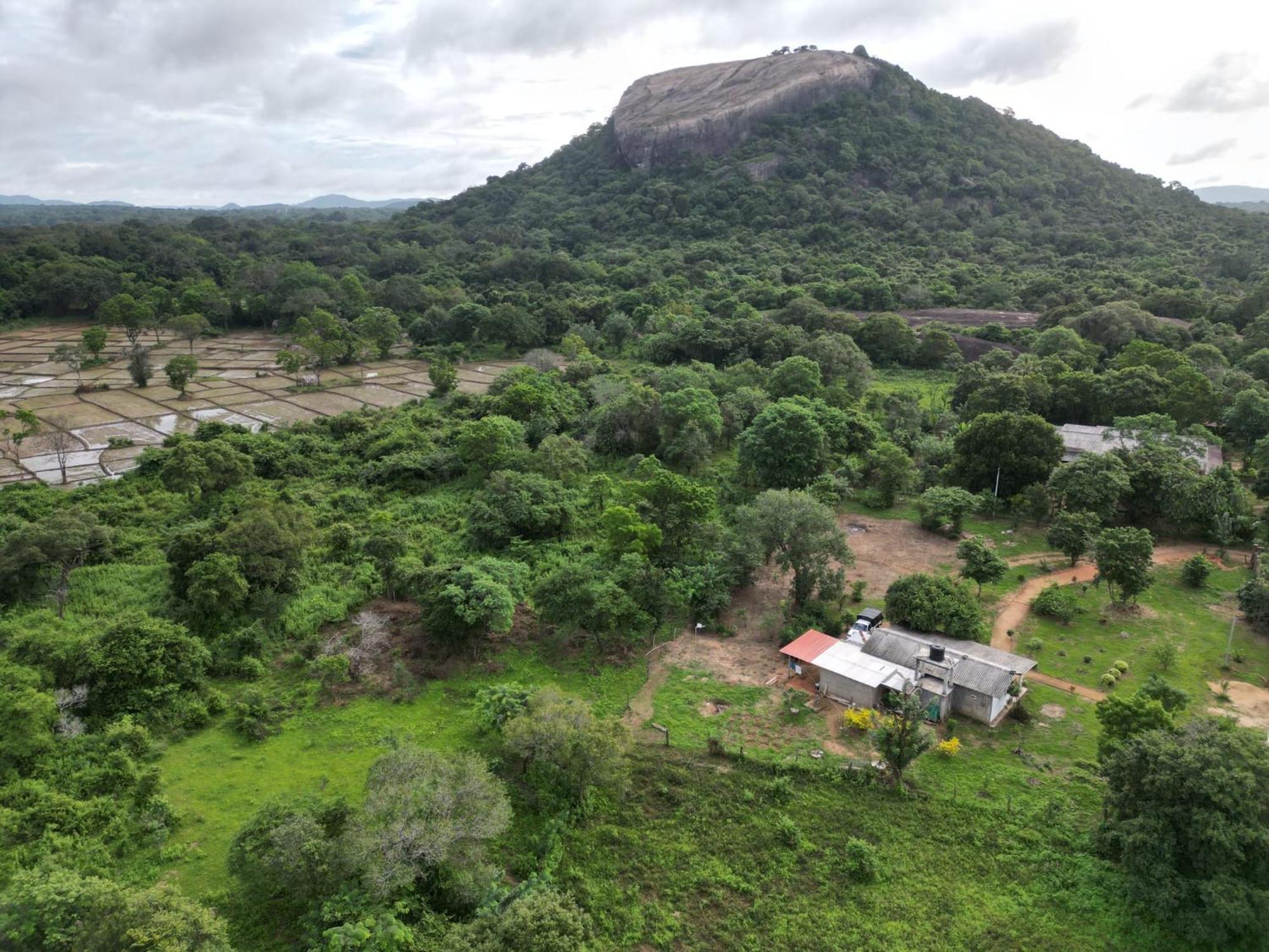 Sigiri Arana Sigiriya Hotell Exteriör bild